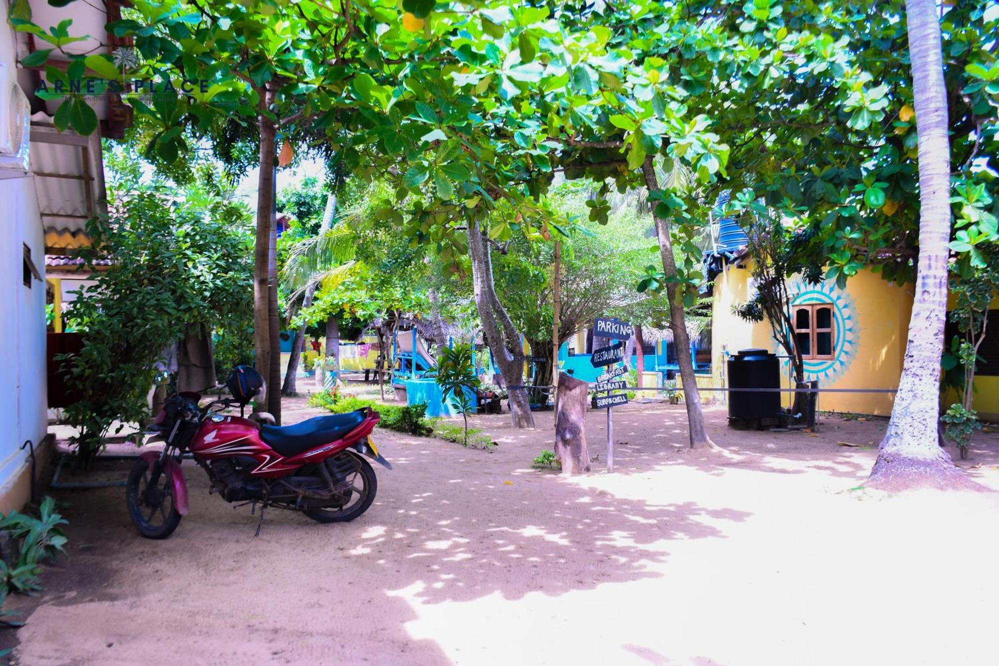 ארוגם Arne'S Place מראה חיצוני תמונה